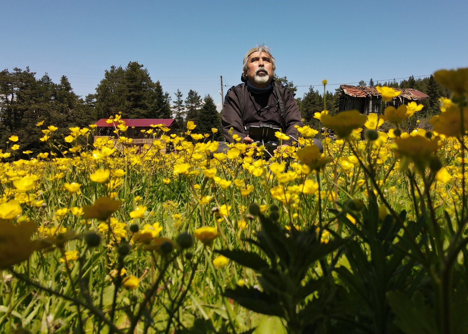 C3845Fa6 2779 46De Ac49 2Ac3373A6Dc4