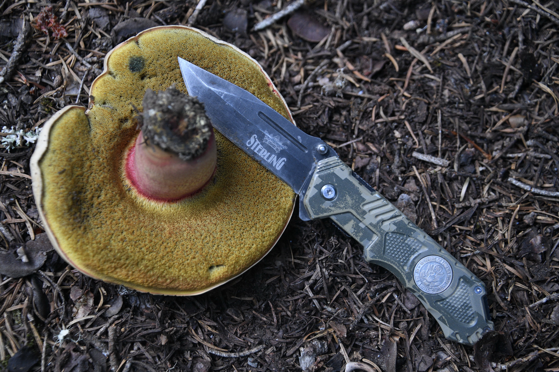 Cebrai̇l Keleş Köşe (7)-13