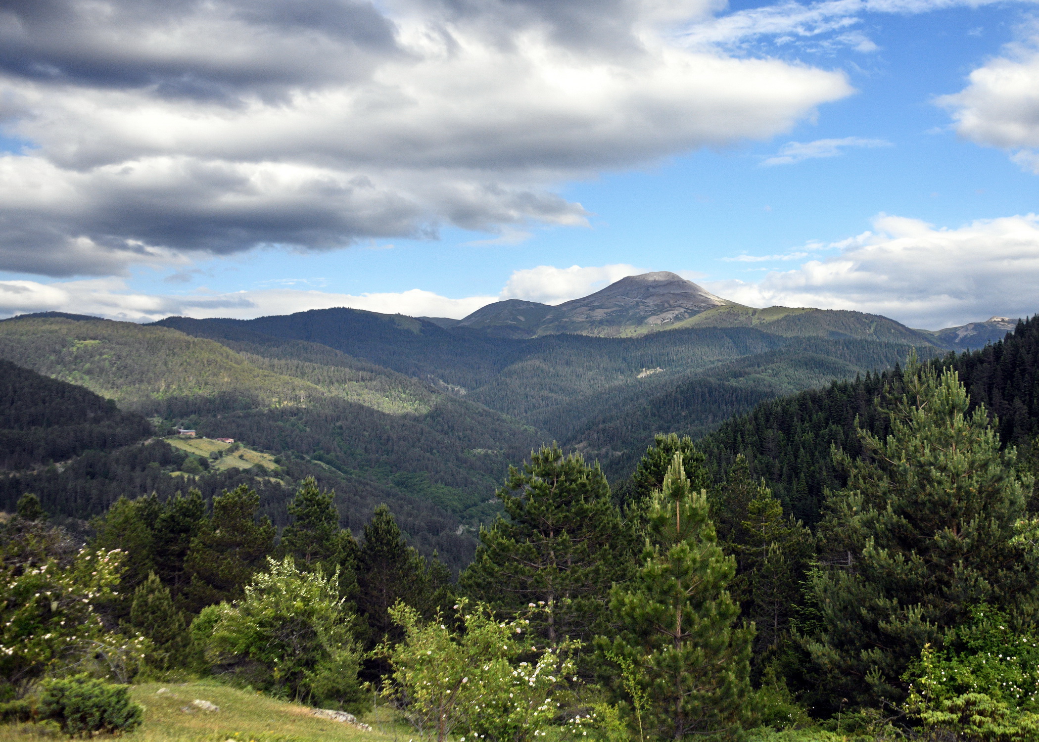 Cebrai̇l Keleş Köşe (8)-13