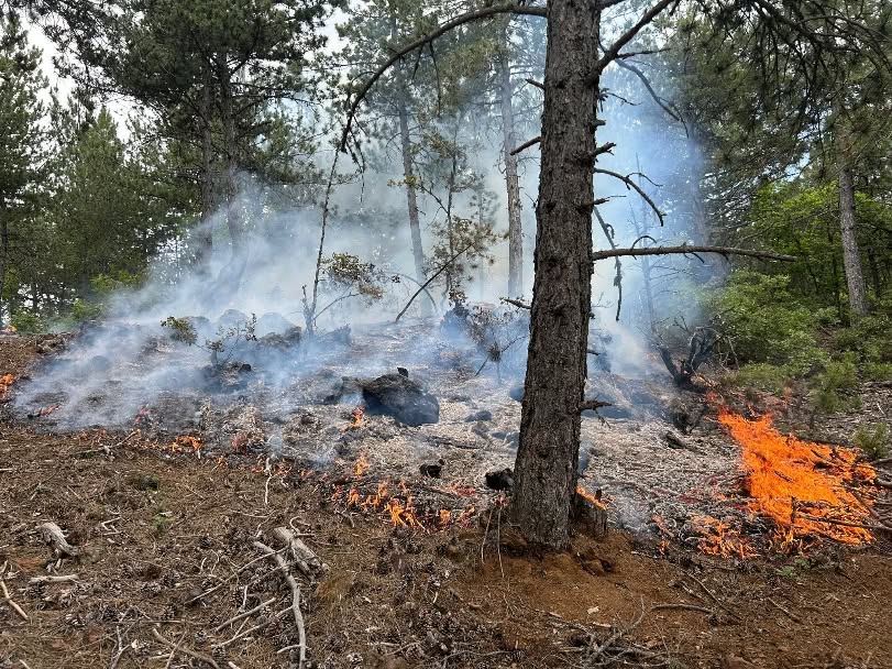 Daday'da Orman Yangını! (3)