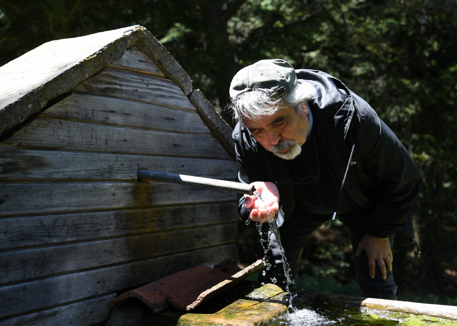 E581Ba44 Ffcf 4771 884A F5B927Ee3615