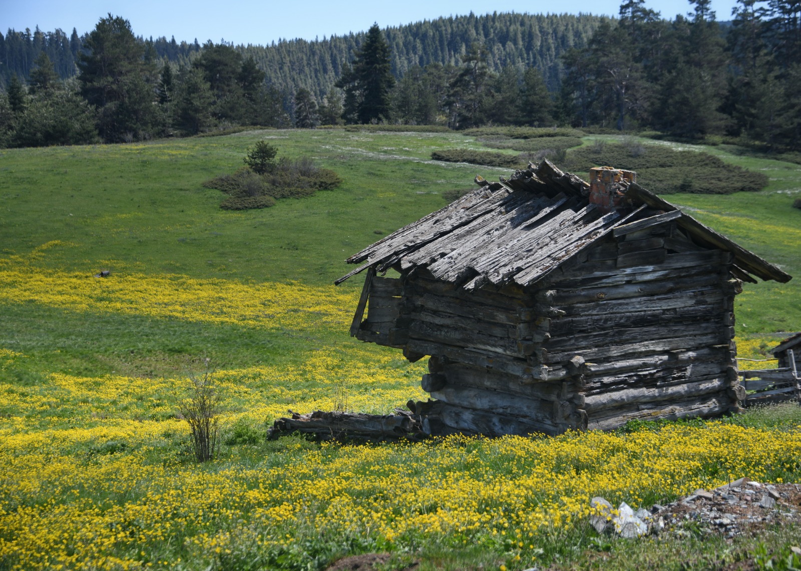 Fc3Ff2Ef 7F14 4B23 9715 B864F0Eda5Ba