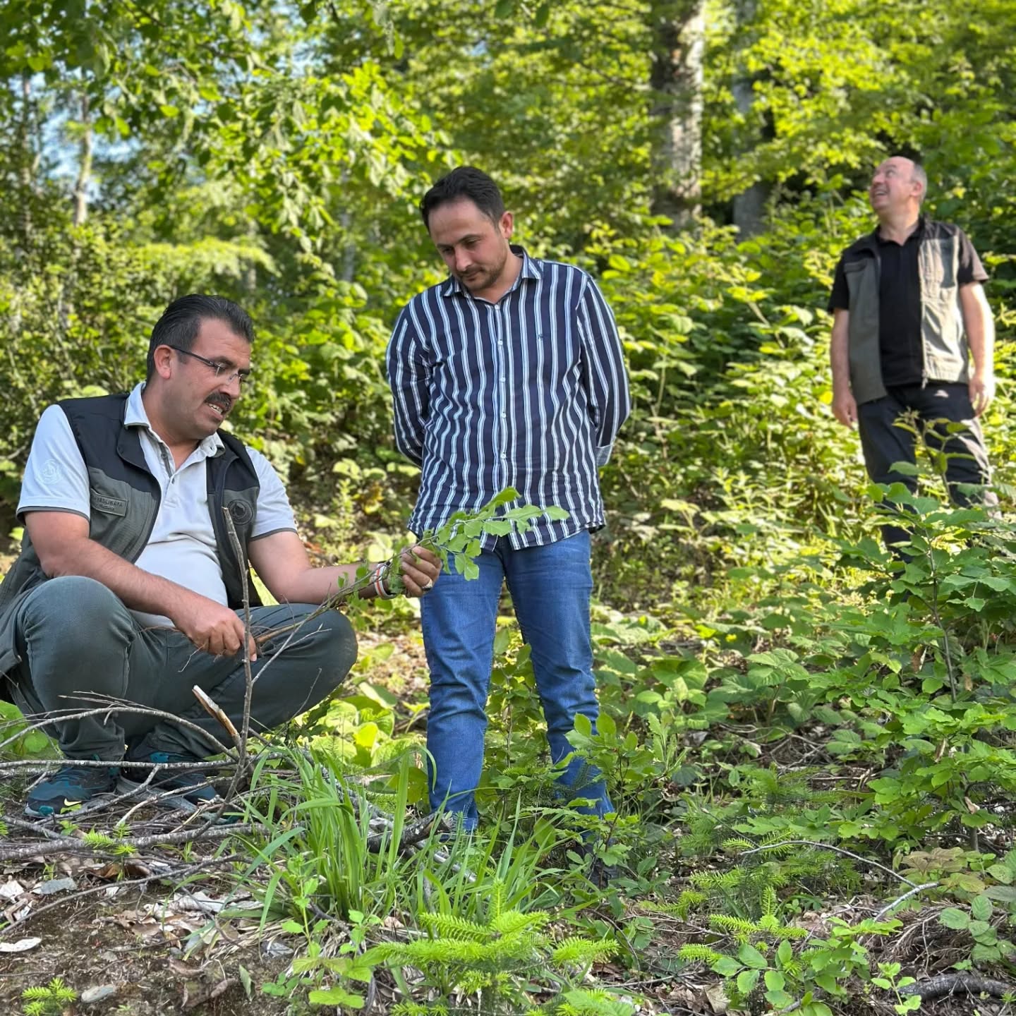 Gençleştirme Çalışmaları Kastamonu'da Yerinde Değerlendirildi (1)