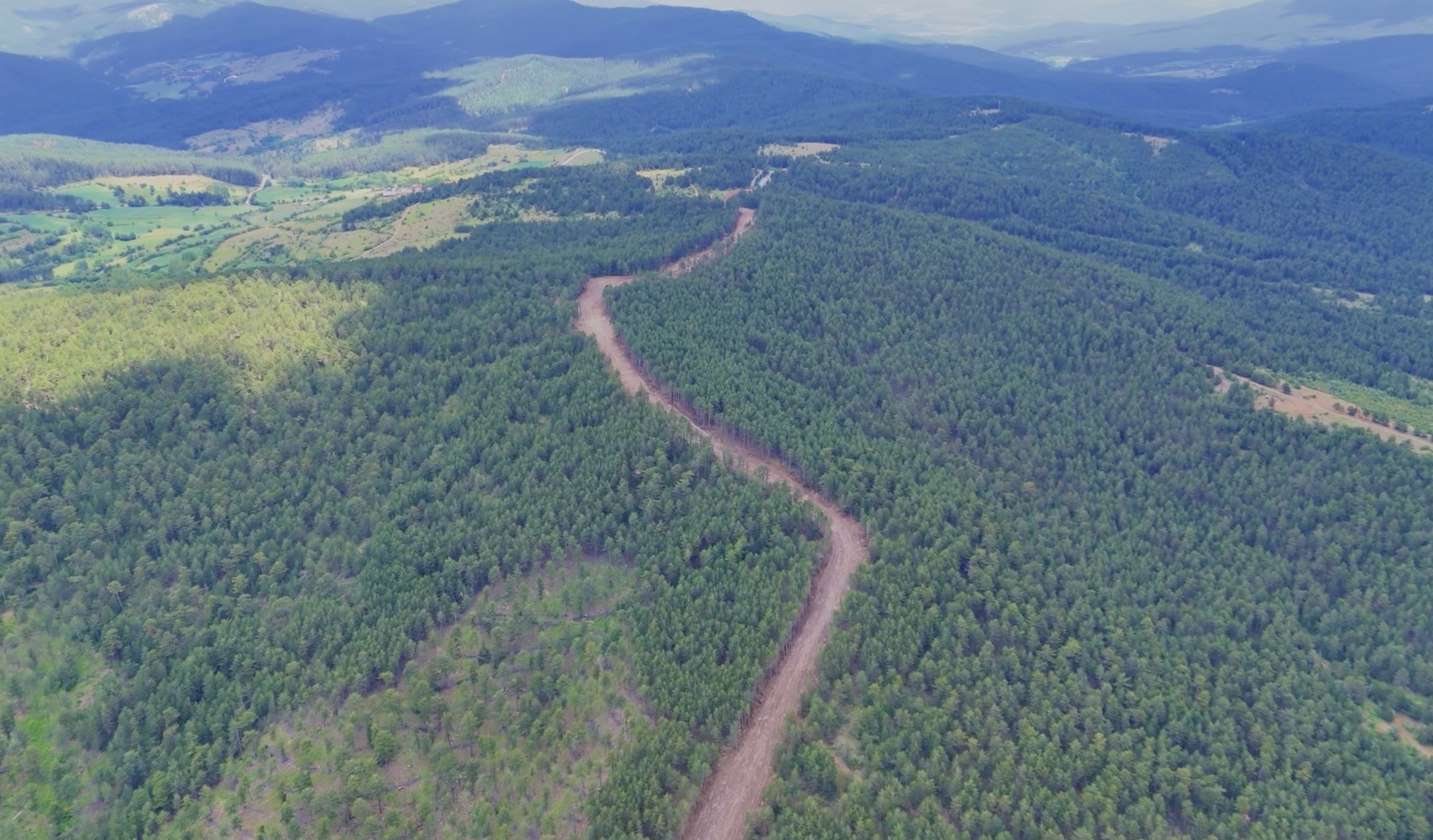 Kastamonu Ormanları Için Hayati Kalkan Yolu! (1)