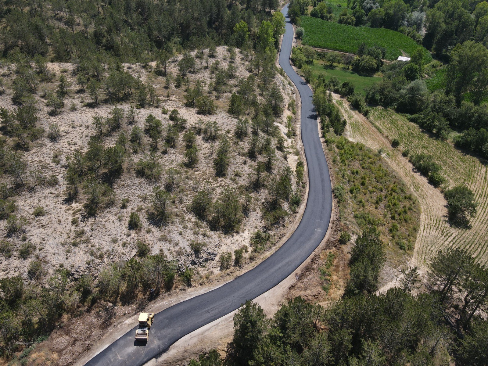 Afacan Köşe (4) (13)