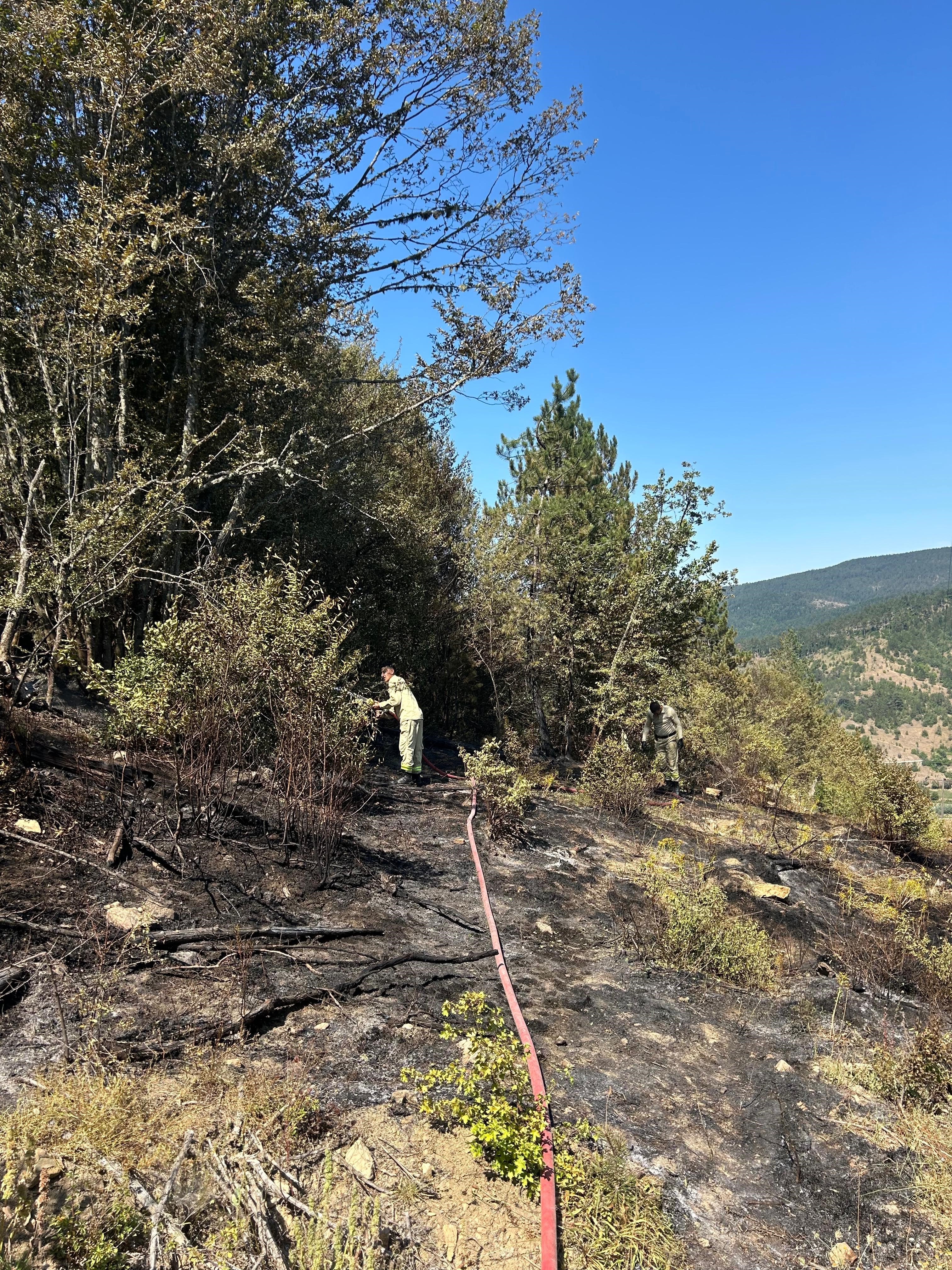 Azdavay'da 2 Dekar Alan Zarar Gördü! (1)