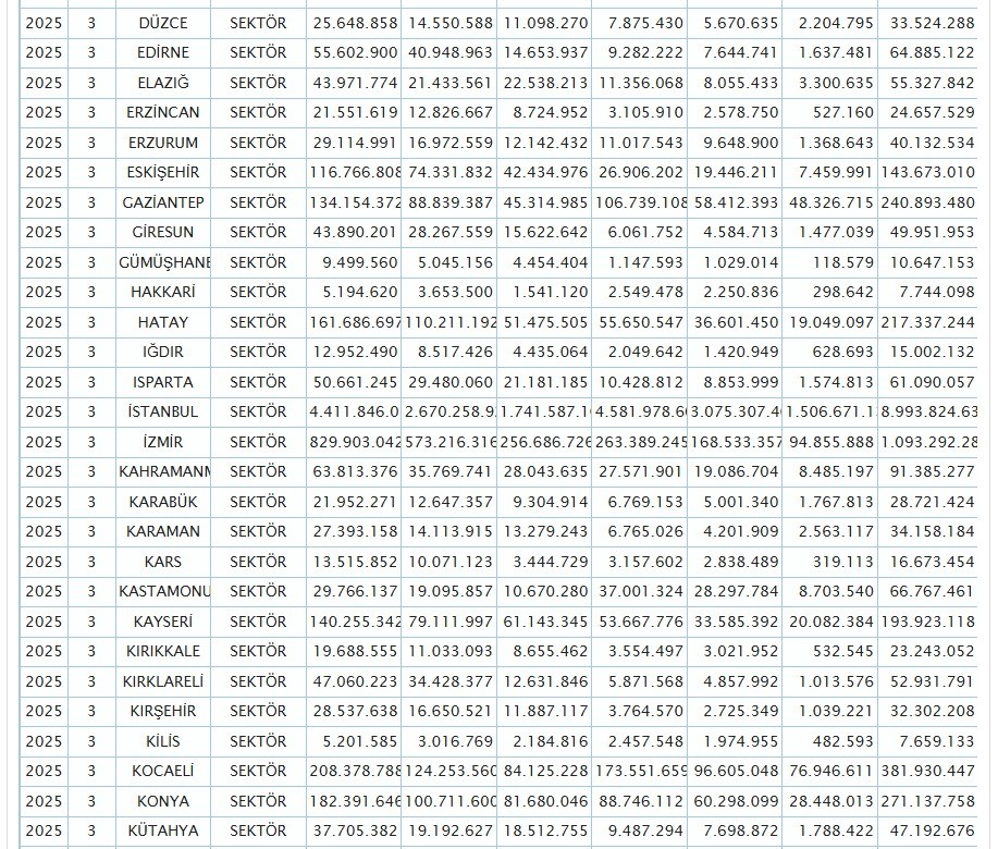 Böyle “En Yoksul Il” Olmaya Can Kurban! (3)