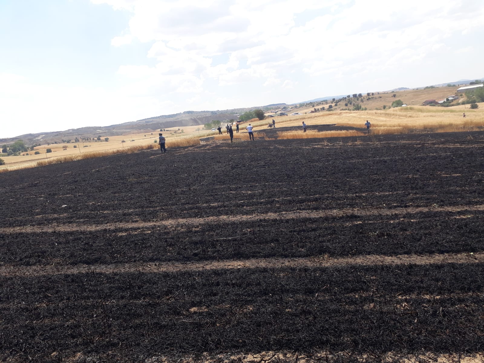 Devrekani’de 15 Dönüm Ekili Alan Yandı (1)