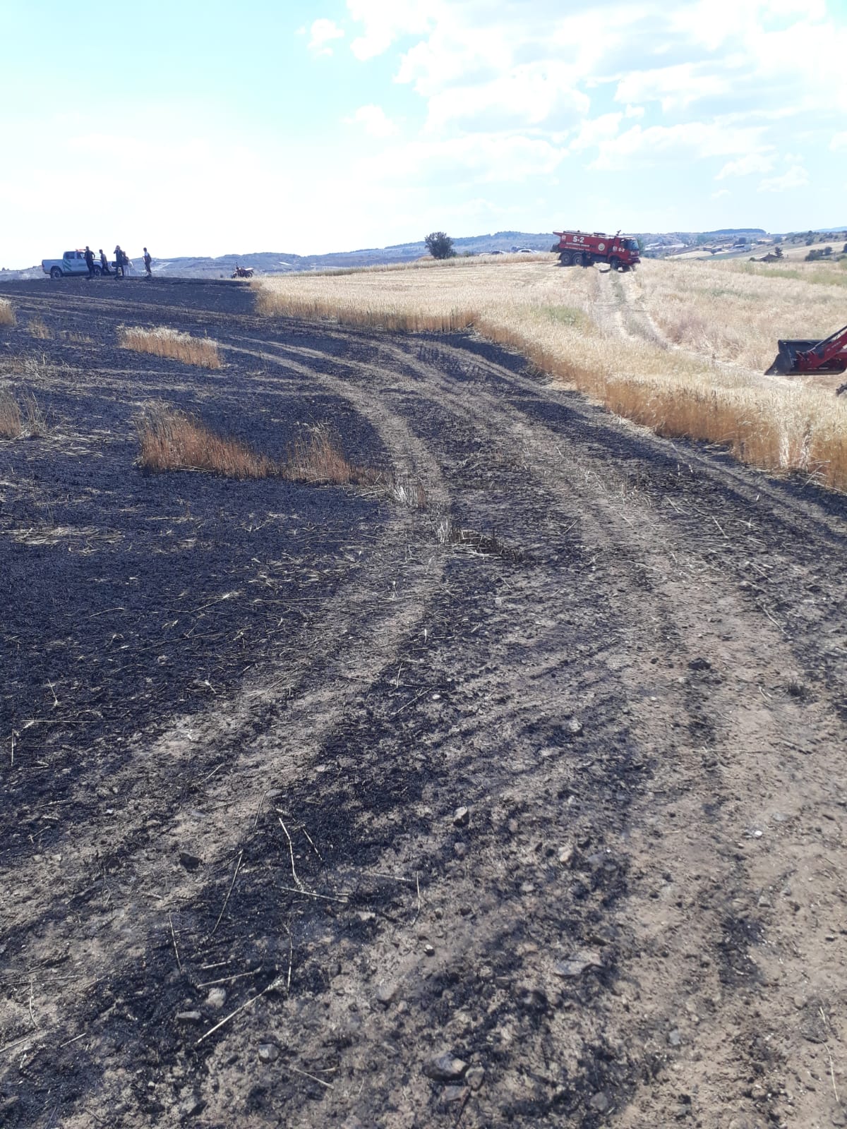 Devrekani’de 15 Dönüm Ekili Alan Yandı (4)