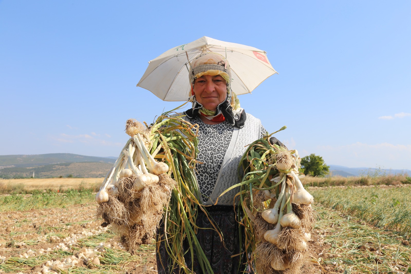 Kastamonu Kadının Kavurucu Sıcakta Zorlu Mesaisi (2)-1