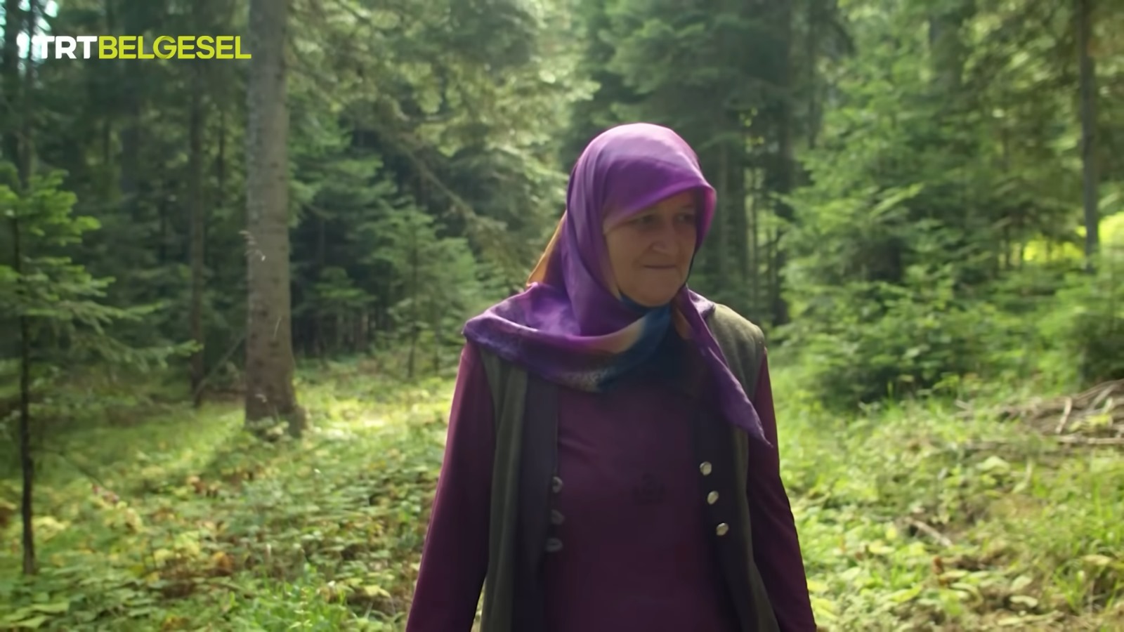 Kastamonu Mantar (3)