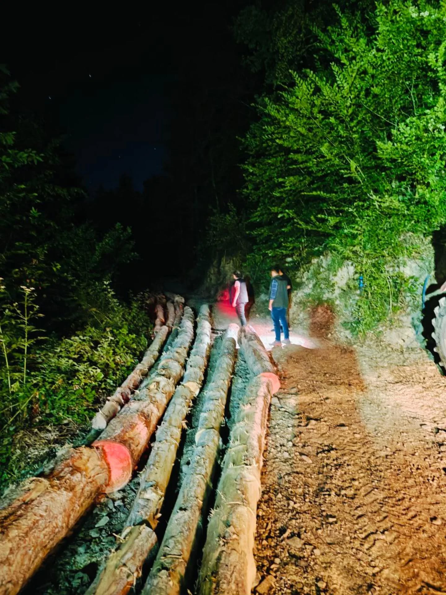 Kastamonu Ormanlarında Gece Denetimi (2)