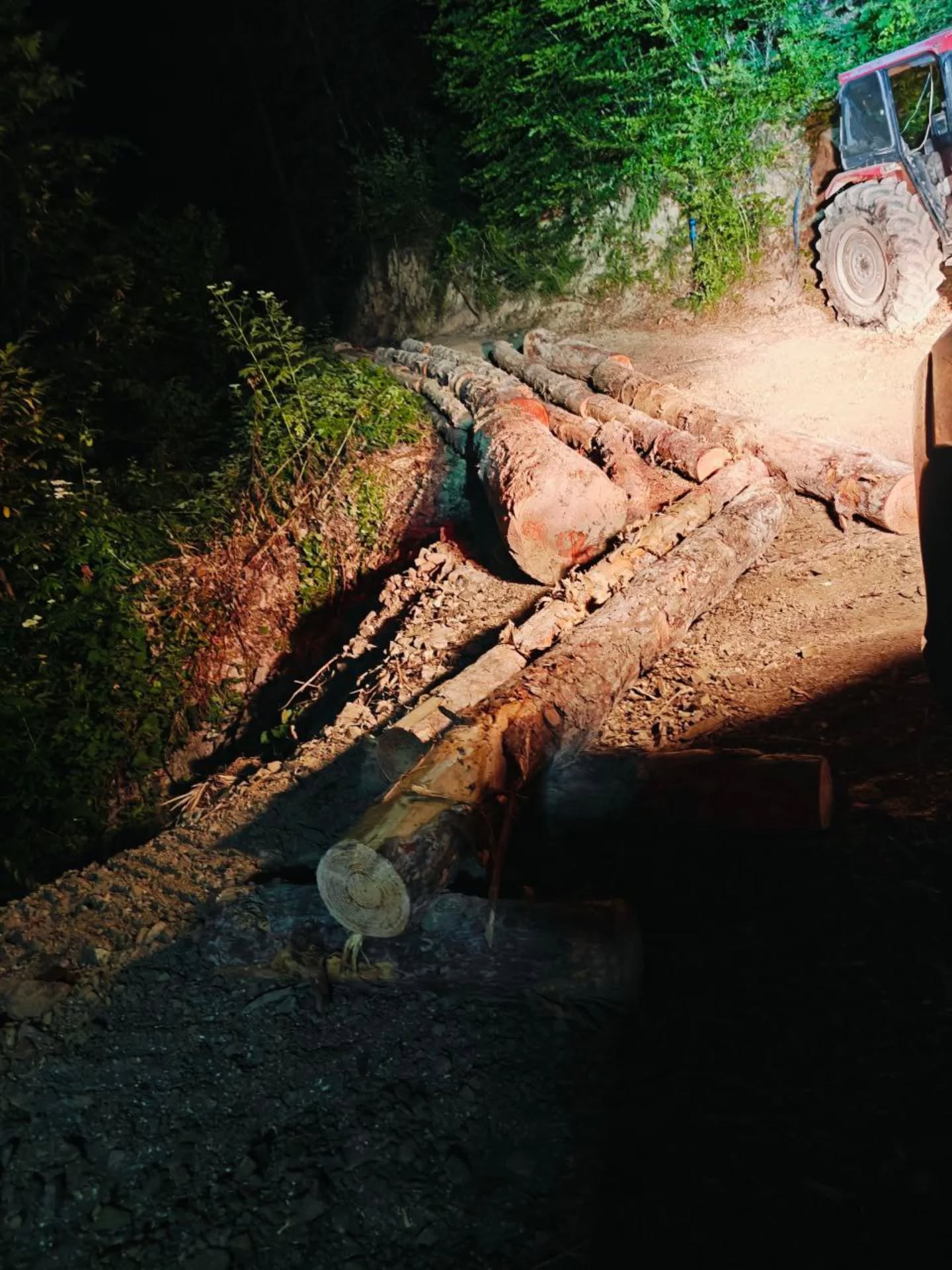 Kastamonu Ormanlarında Gece Denetimi (3)