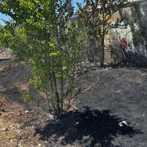 Kastamonu Saraçlar'da Korkutan Yangın! (2)