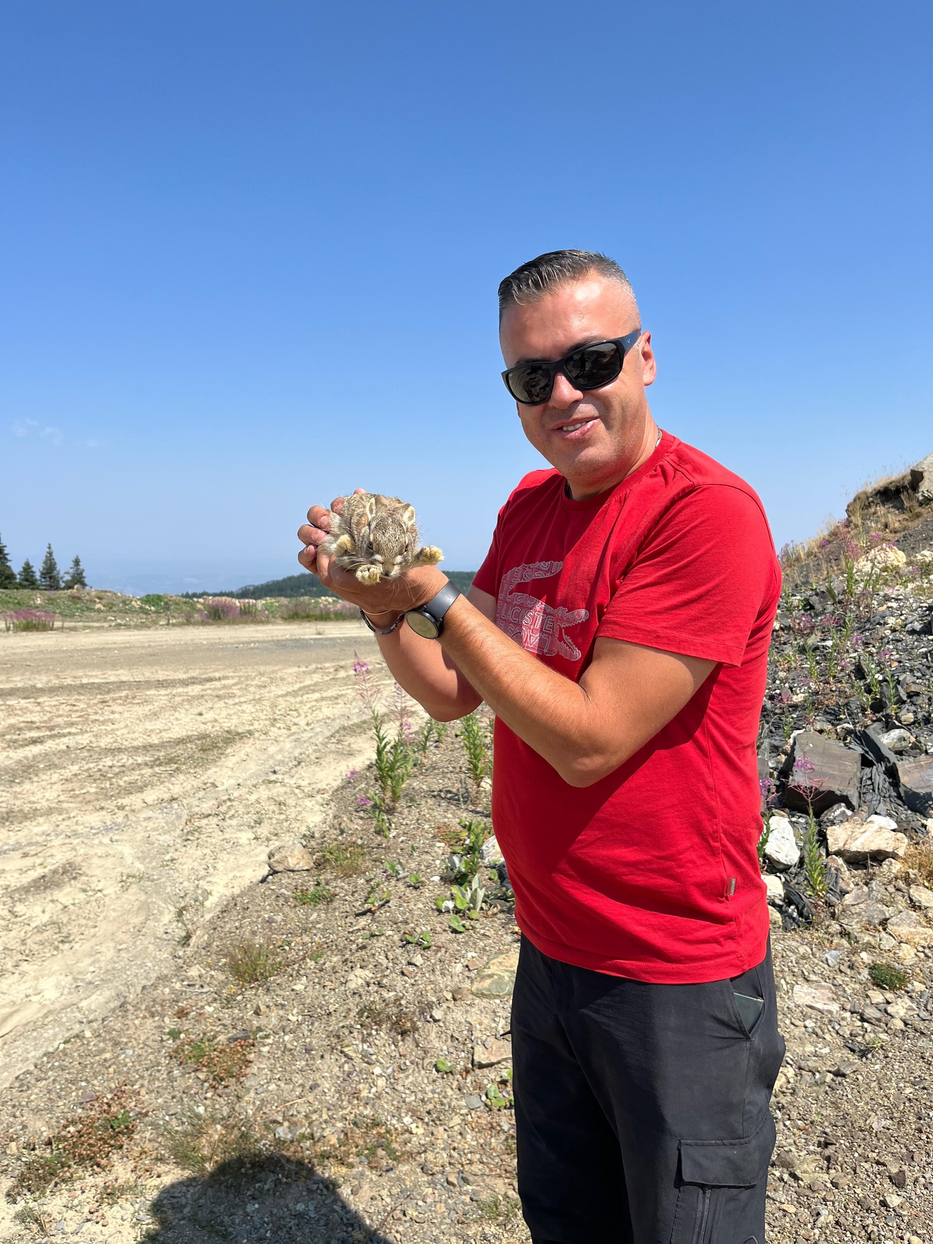 Kastamonu Yaban Hayatı (1)