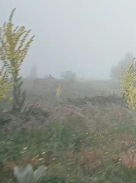 Kastamonu Yaban Hayatı (3)