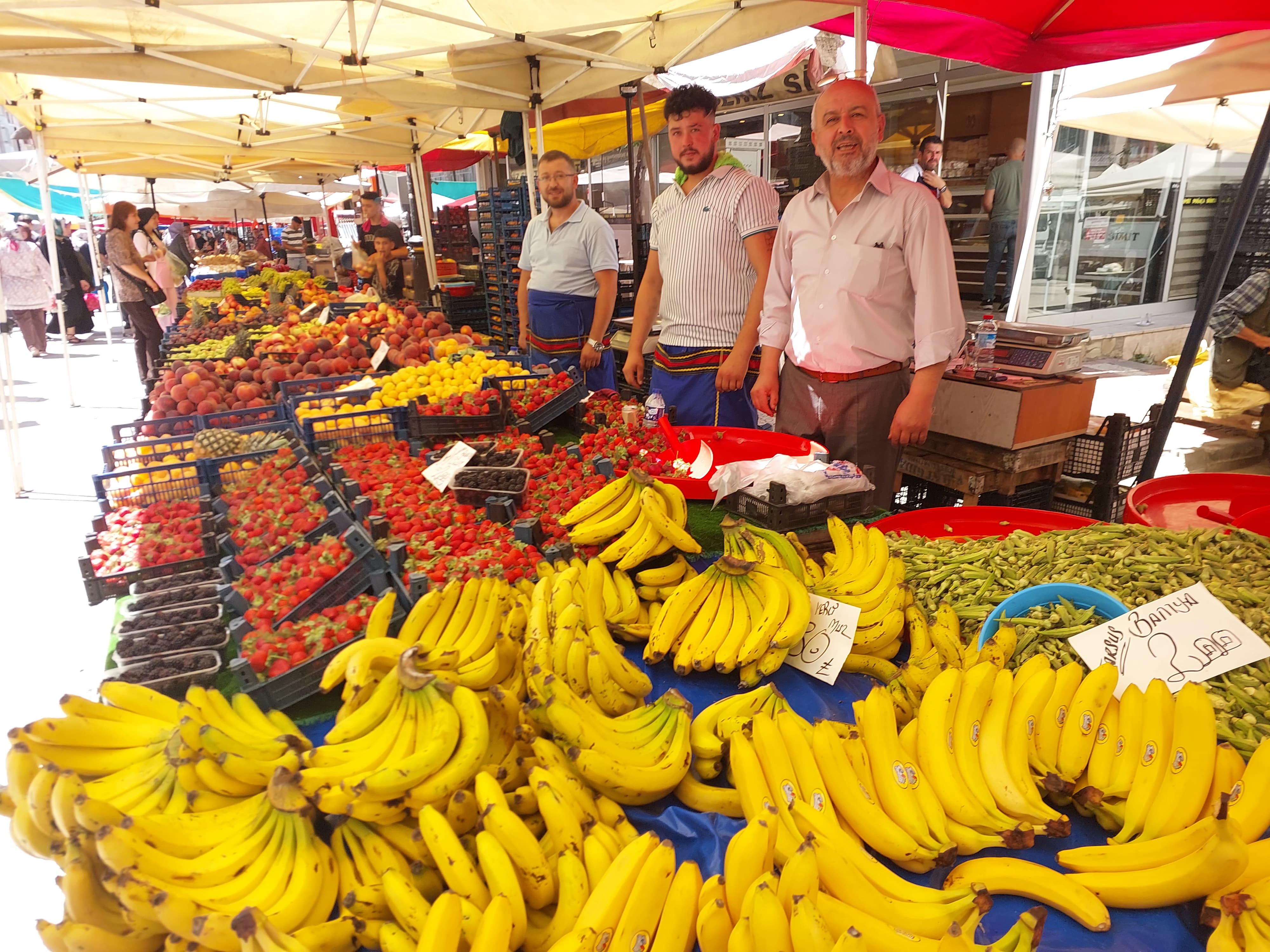 Kastamonu'da Kiraz Altın Dönemini Yaşıyor (2)