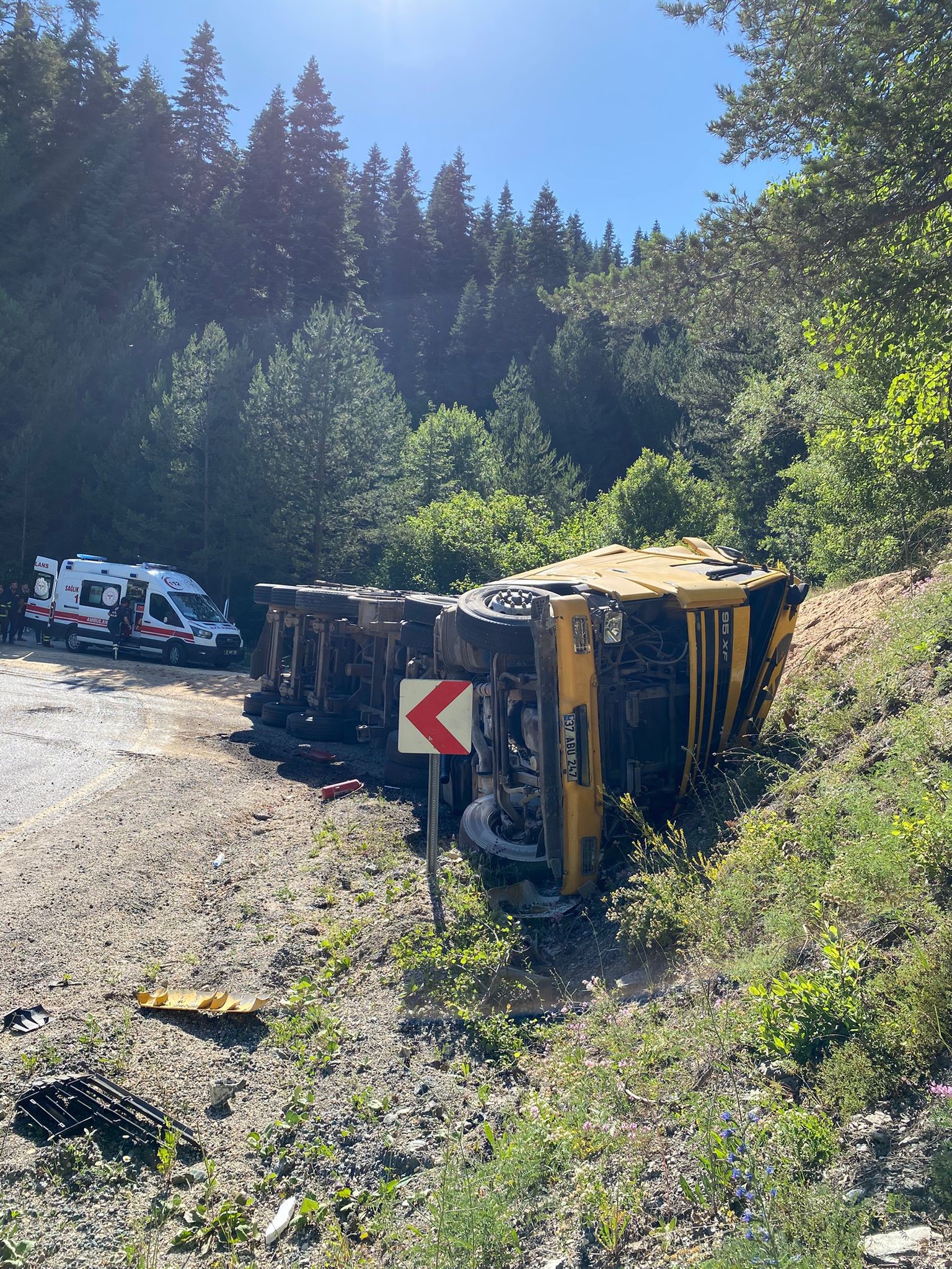 Kastamonu'da Virajı Alamayan Talaş Yüklü Tır Devrildi 2 Yaralı (2)