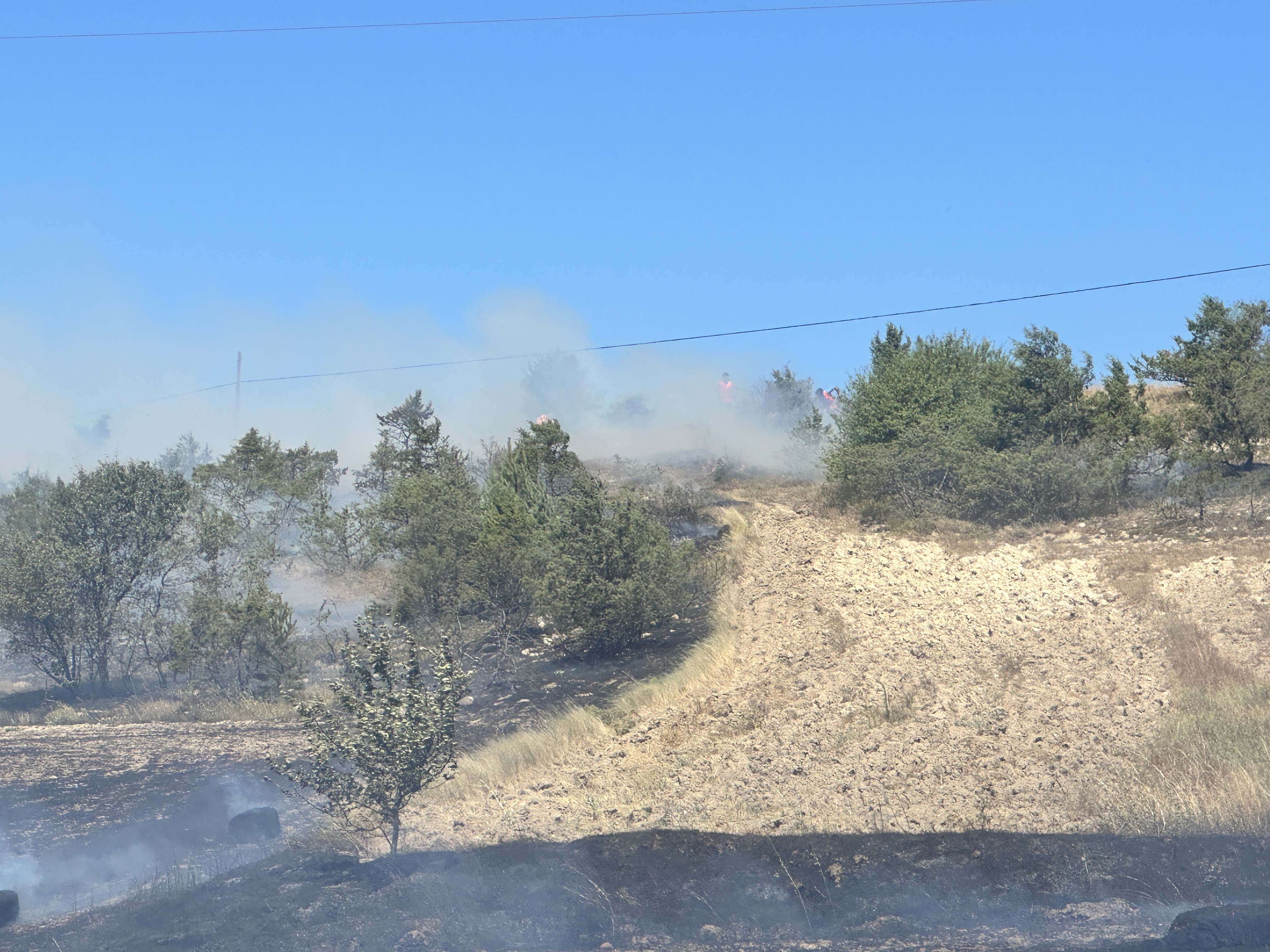 Kastamonu'da Yangın Ormana Sıçradı!3