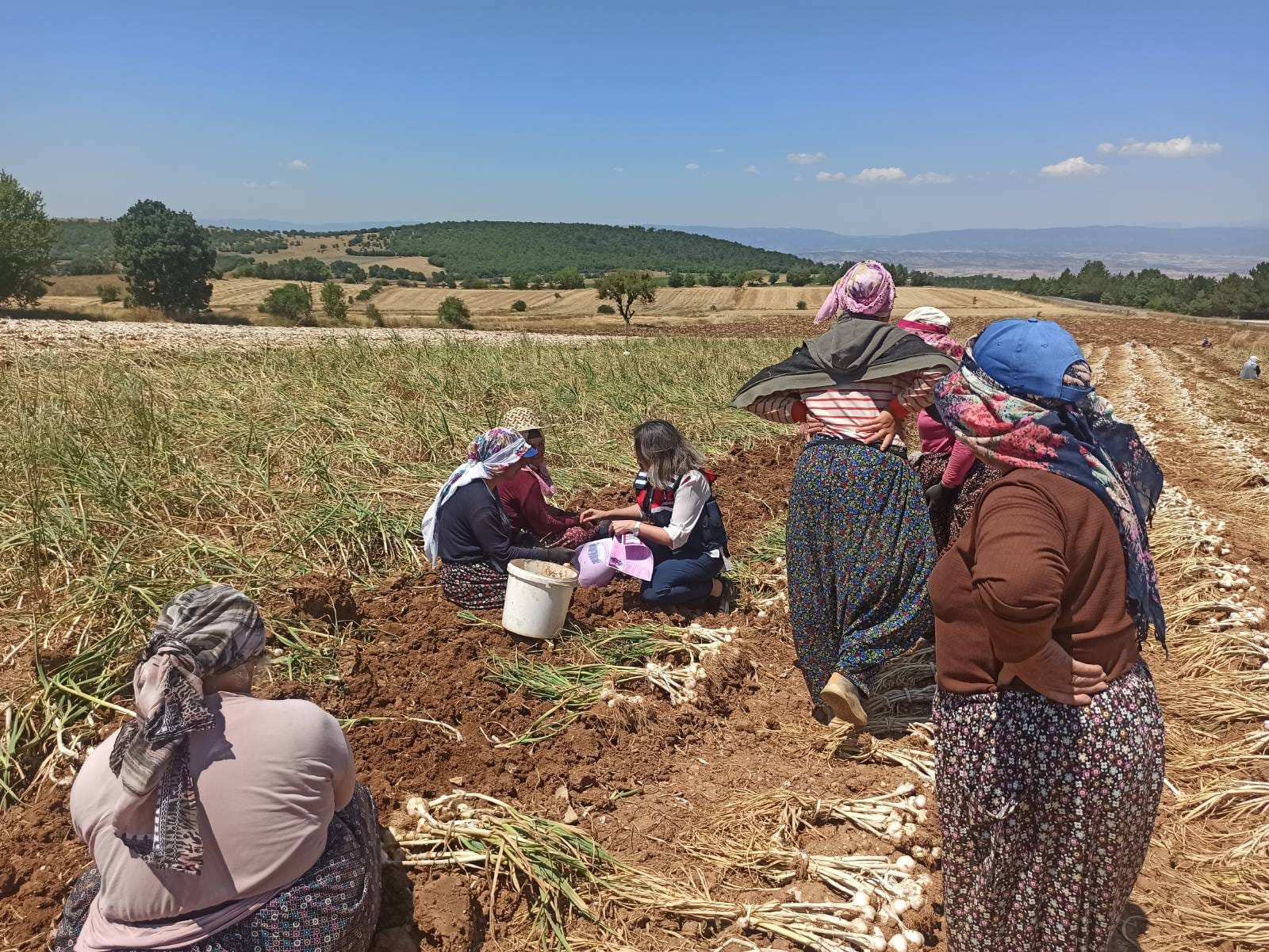 Sarımsak Tarlasındaki Kadınlar Bilgilendirildi (1)