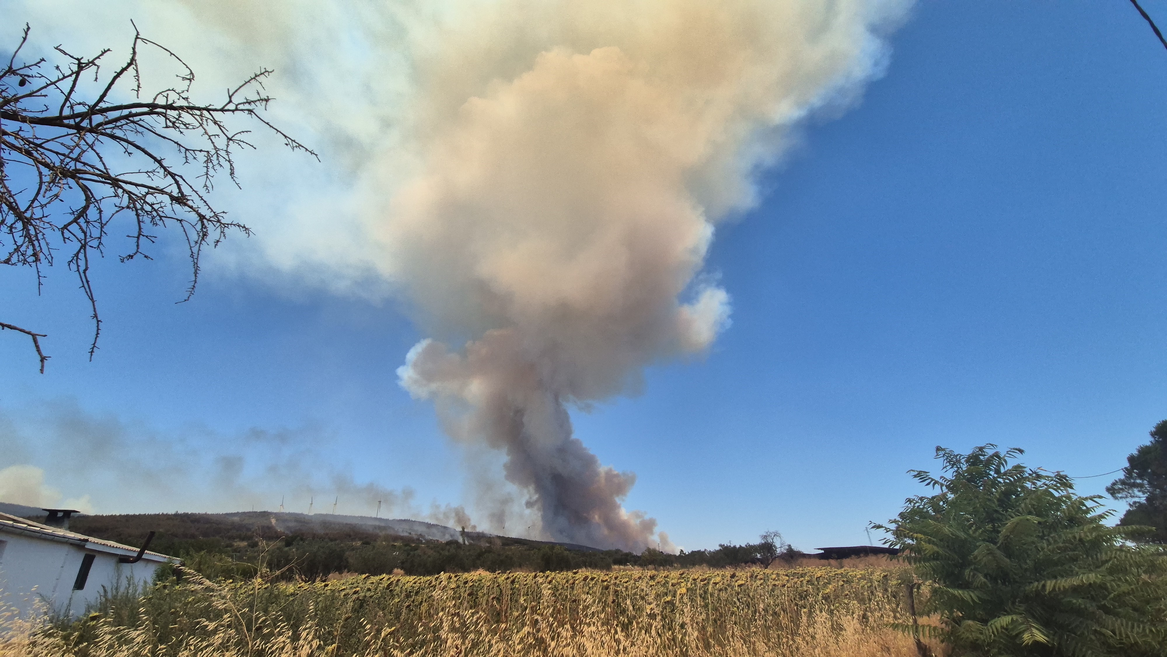 Şarköy’deki Orman Yangınına Kastamonu’dan Destek (1)