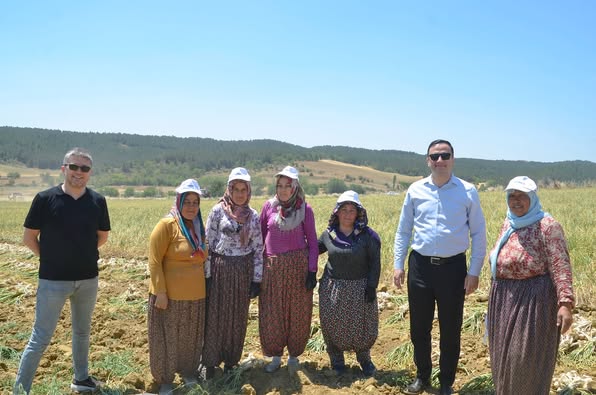 Taşköprü Sarımsak Tarlasında Anlamlı Buluşma (1)