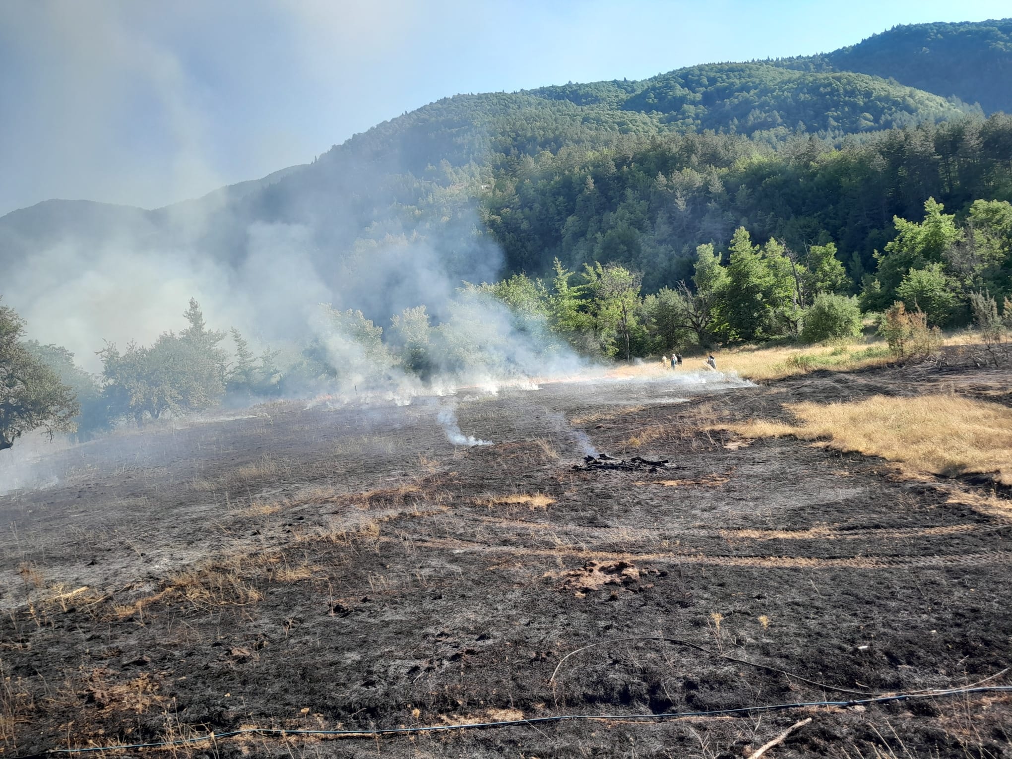 515266801 1191750489427713 5100139301824272430 N