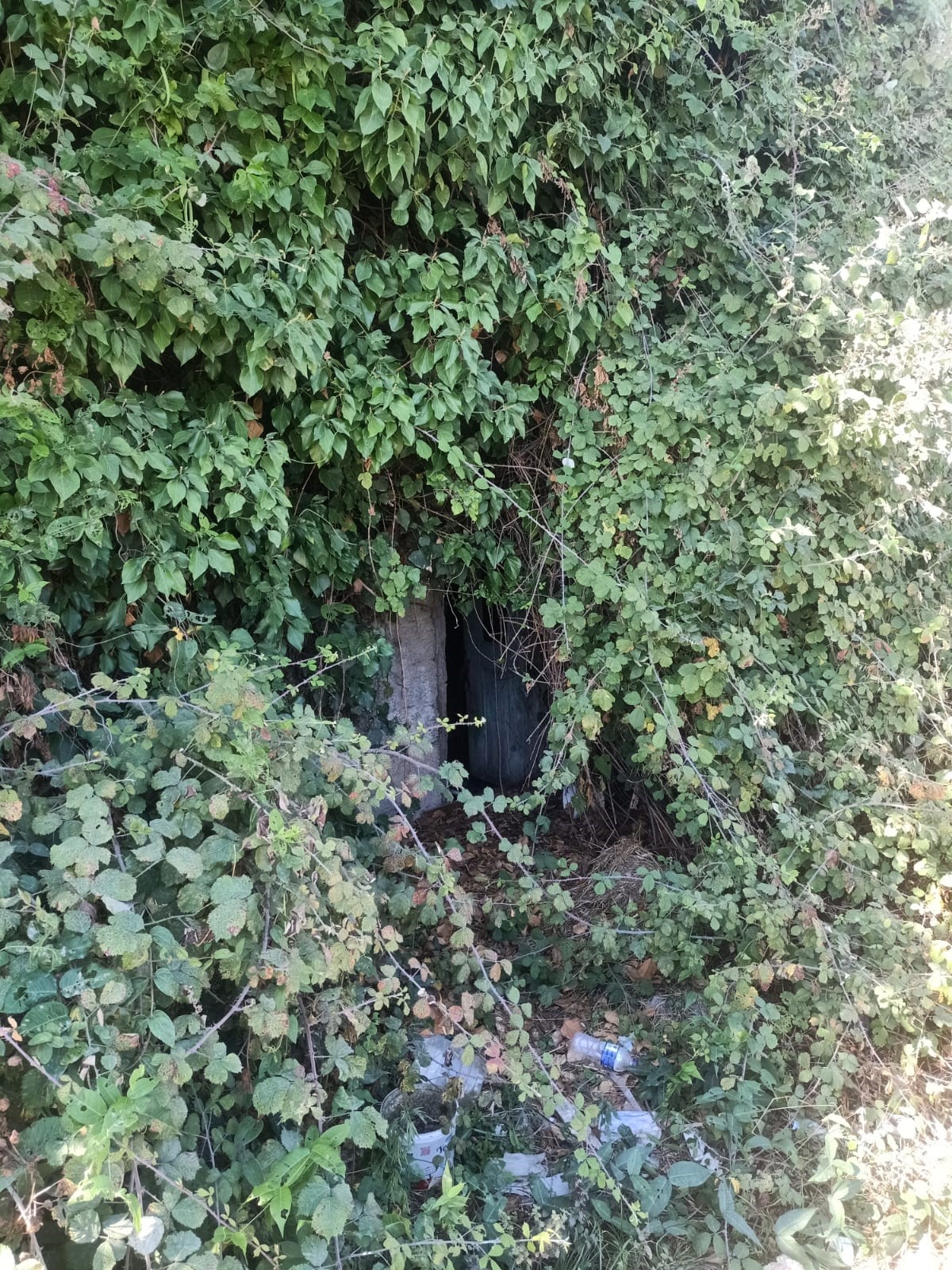 Afacan Köşe (1) (23)