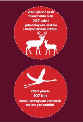 Afacan Köşe (3) (17)