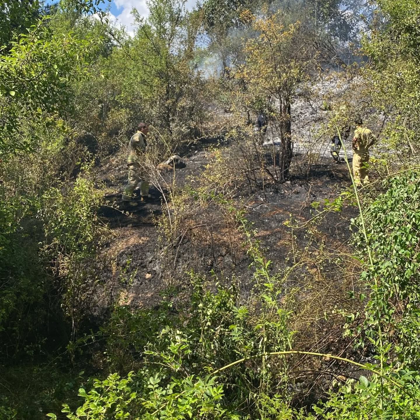 Araç'ta Korkutan Yangın!2