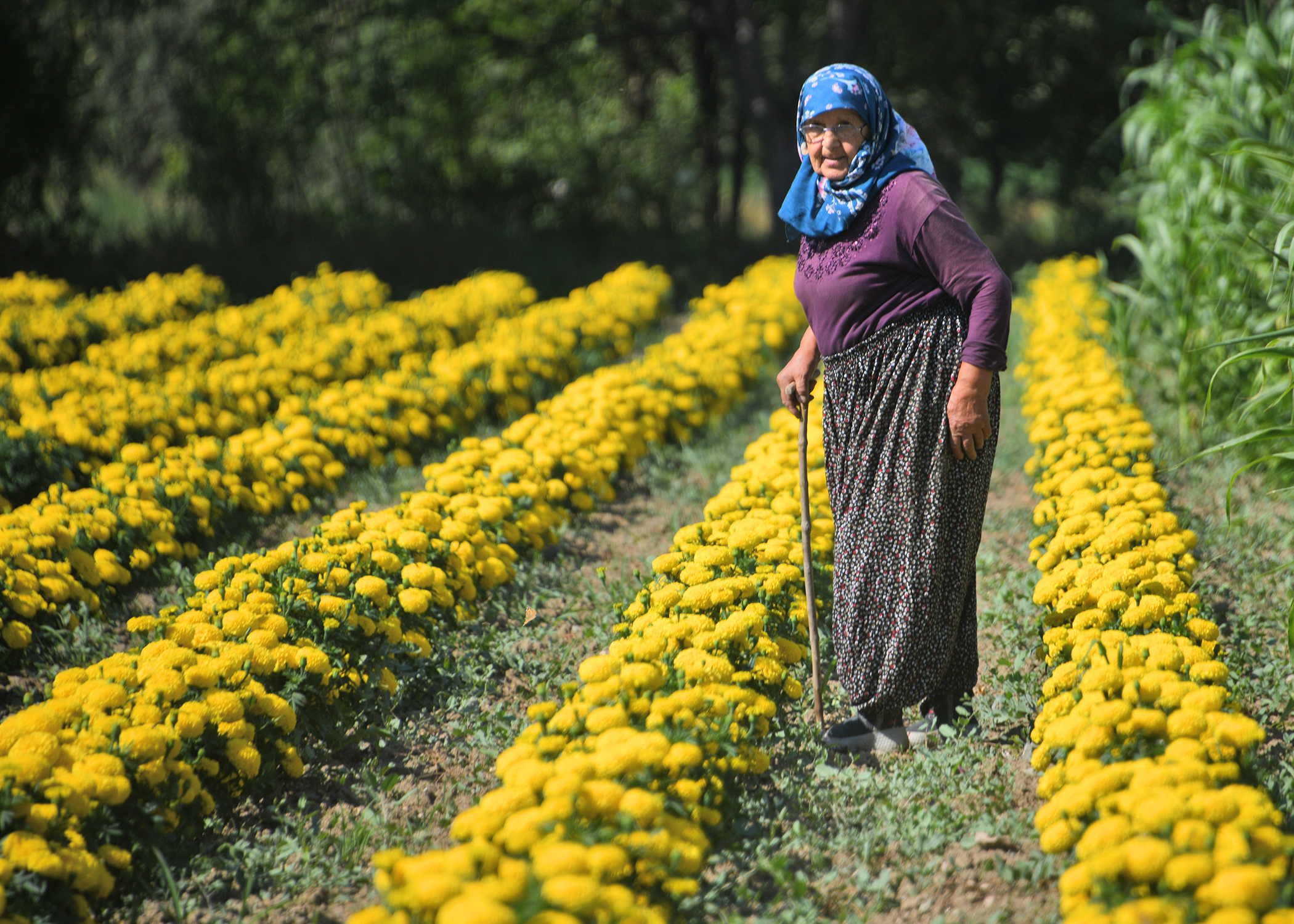 Cebrai̇l Keleş Köşe (2)-22