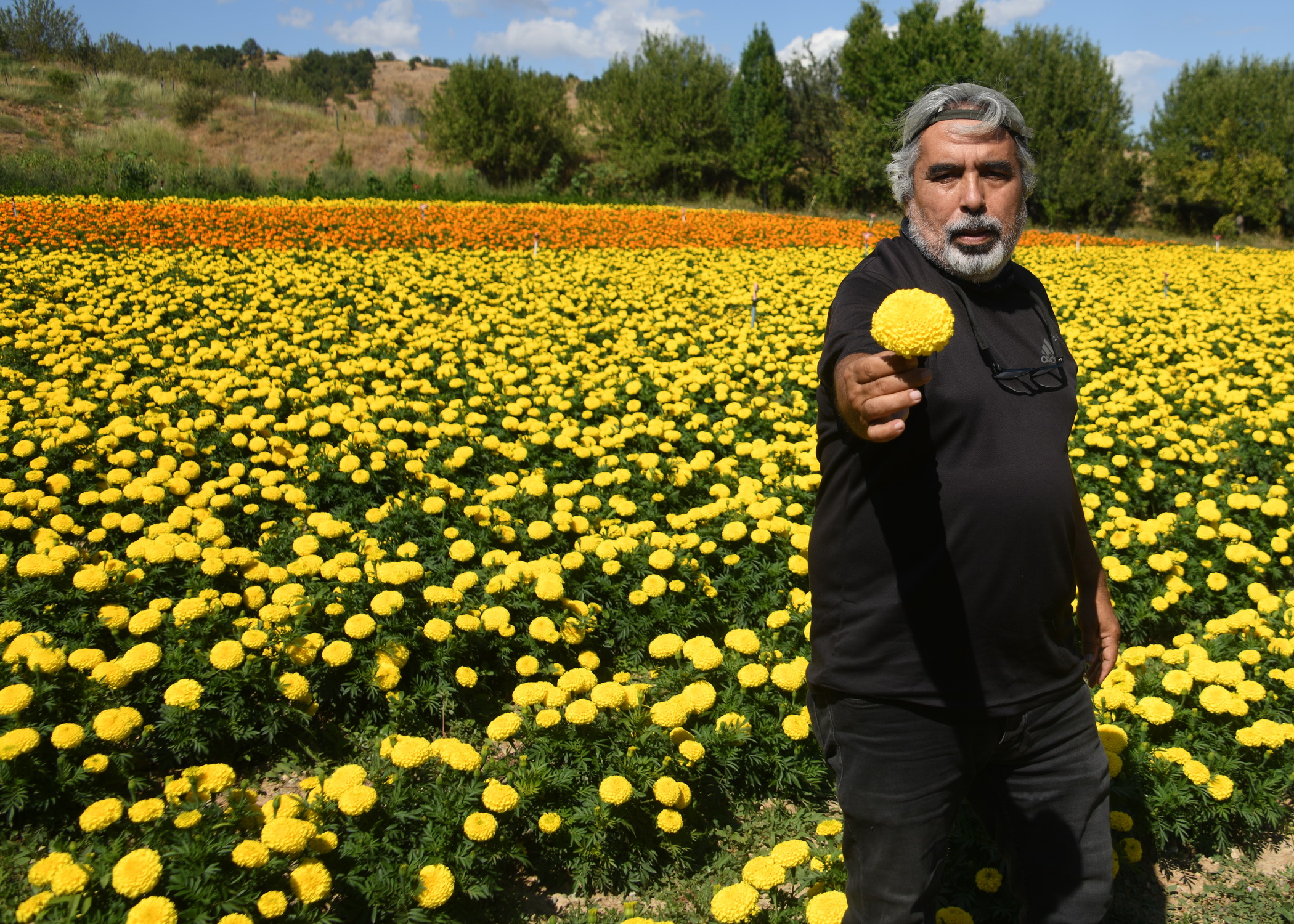 Cebrai̇l Keleş Köşe (5)-14