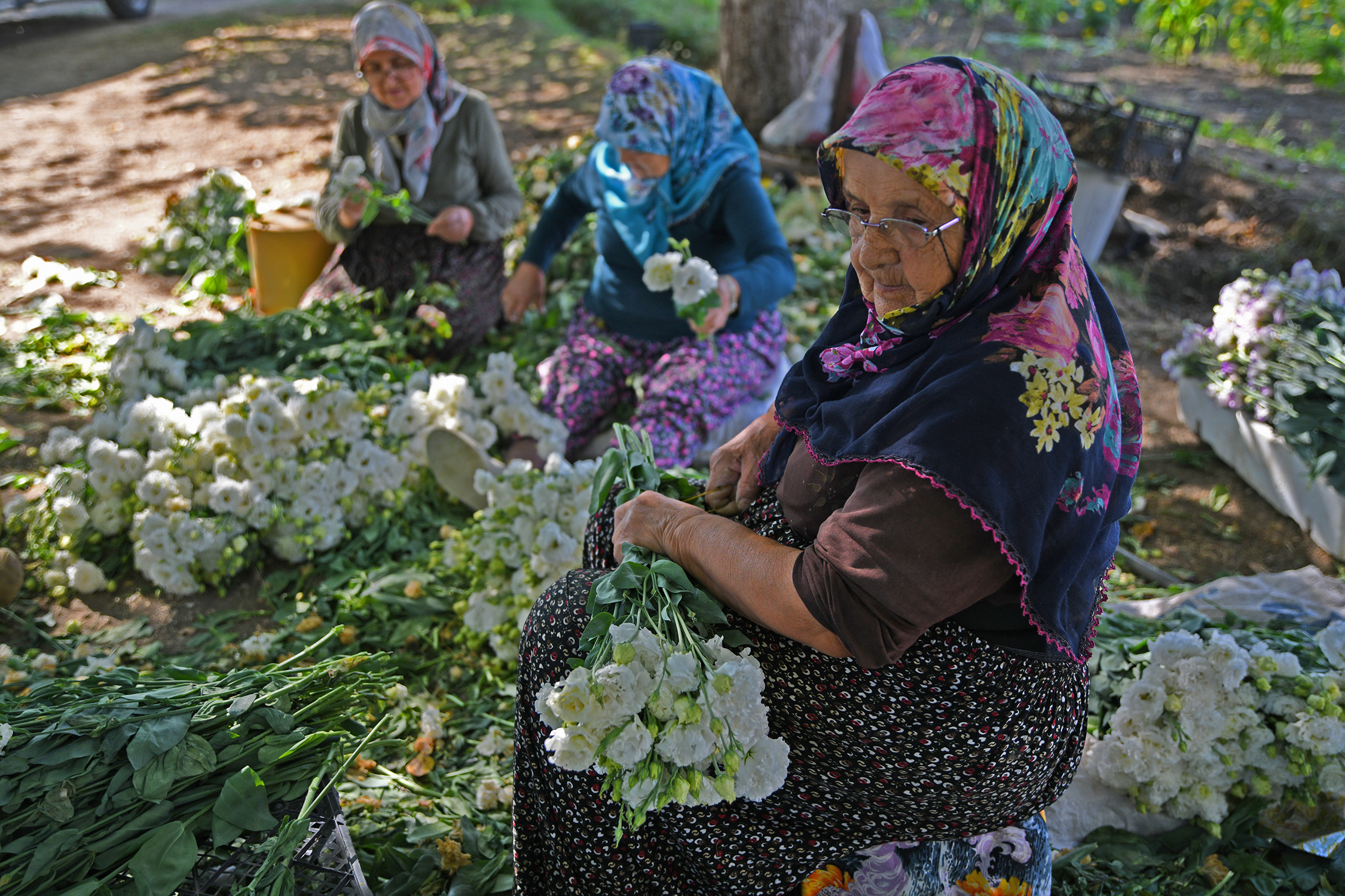 Cebrai̇l Keleş Köşe (8)-18