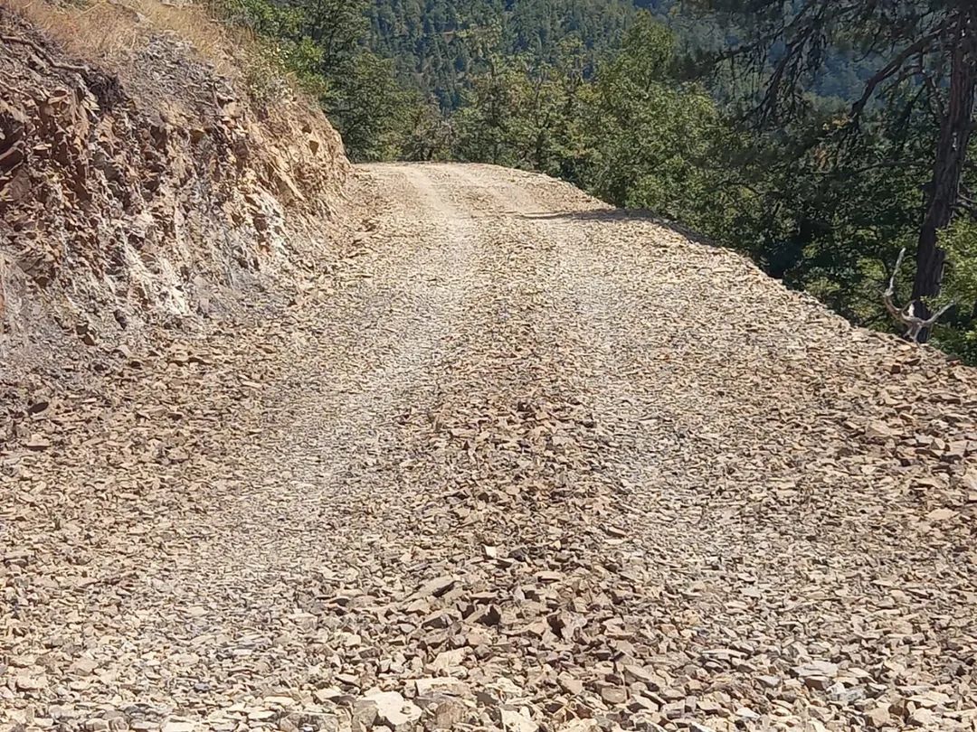 F B I M G 1755173428925