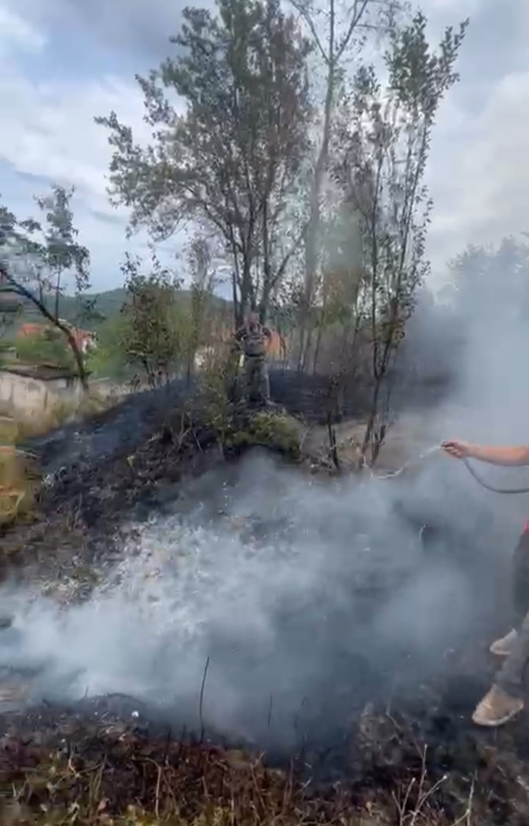 I M G 20250802 W A0002