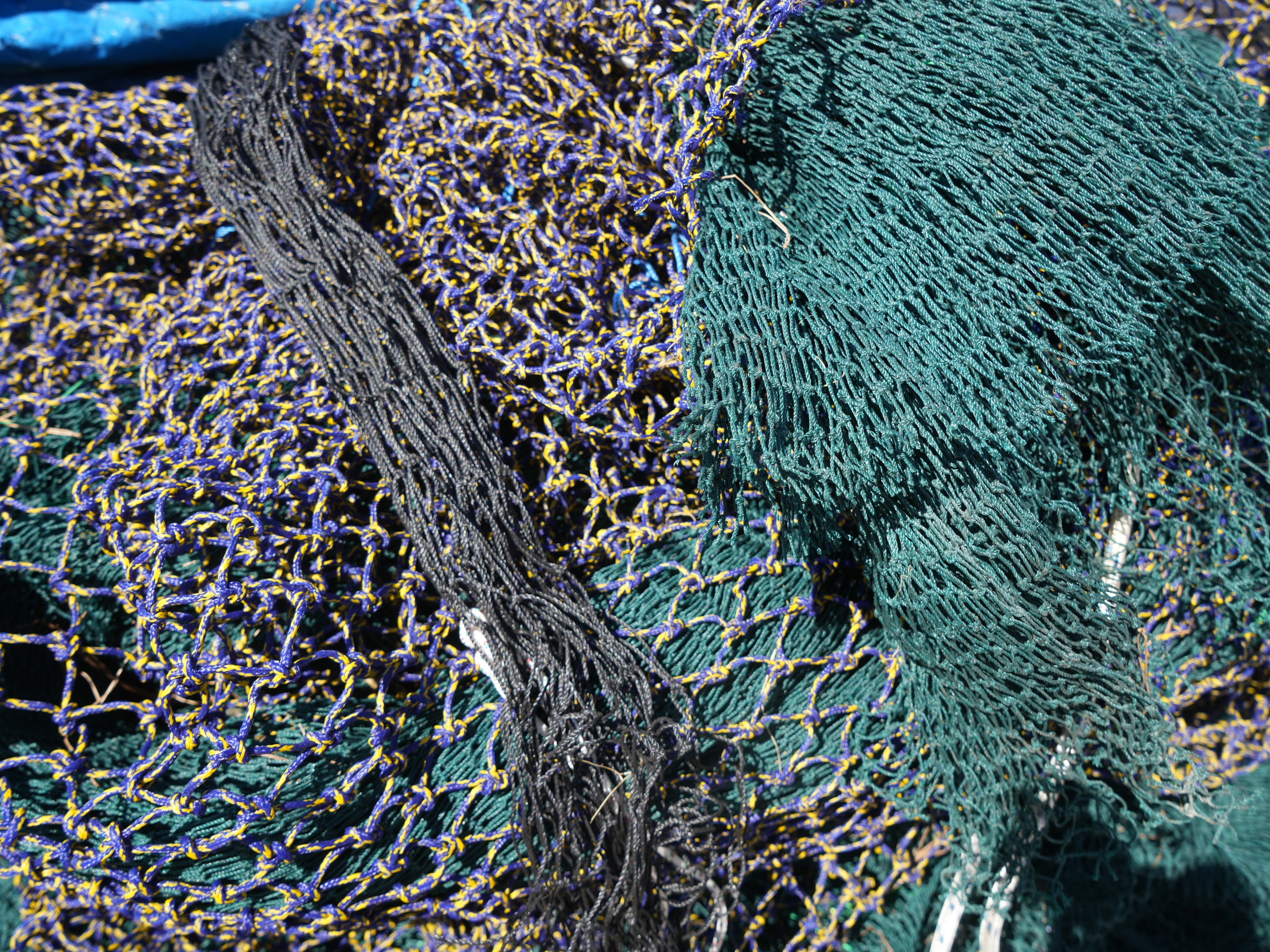 Kastamonulu Balıkçılar 1 Eylül’e Hazır (3)