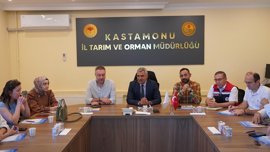 546703517 18153614719385181 7152358878538533299 N