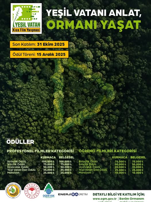 548738236 18064853732459834 3957953439819035387 N