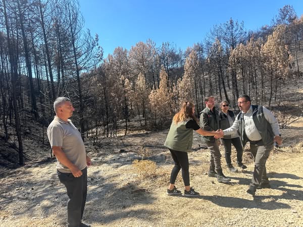 548895155 18065138321459834 6299388184115463148 N