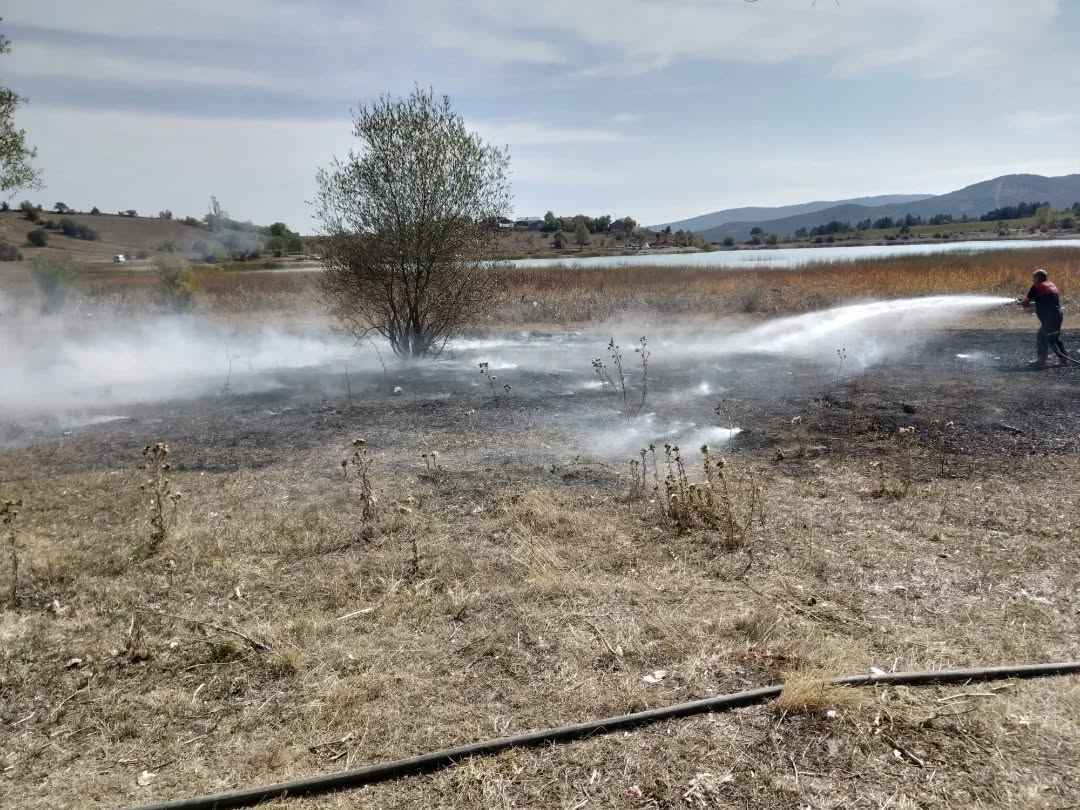 555358240 18040182842692691 678221432026738766 N