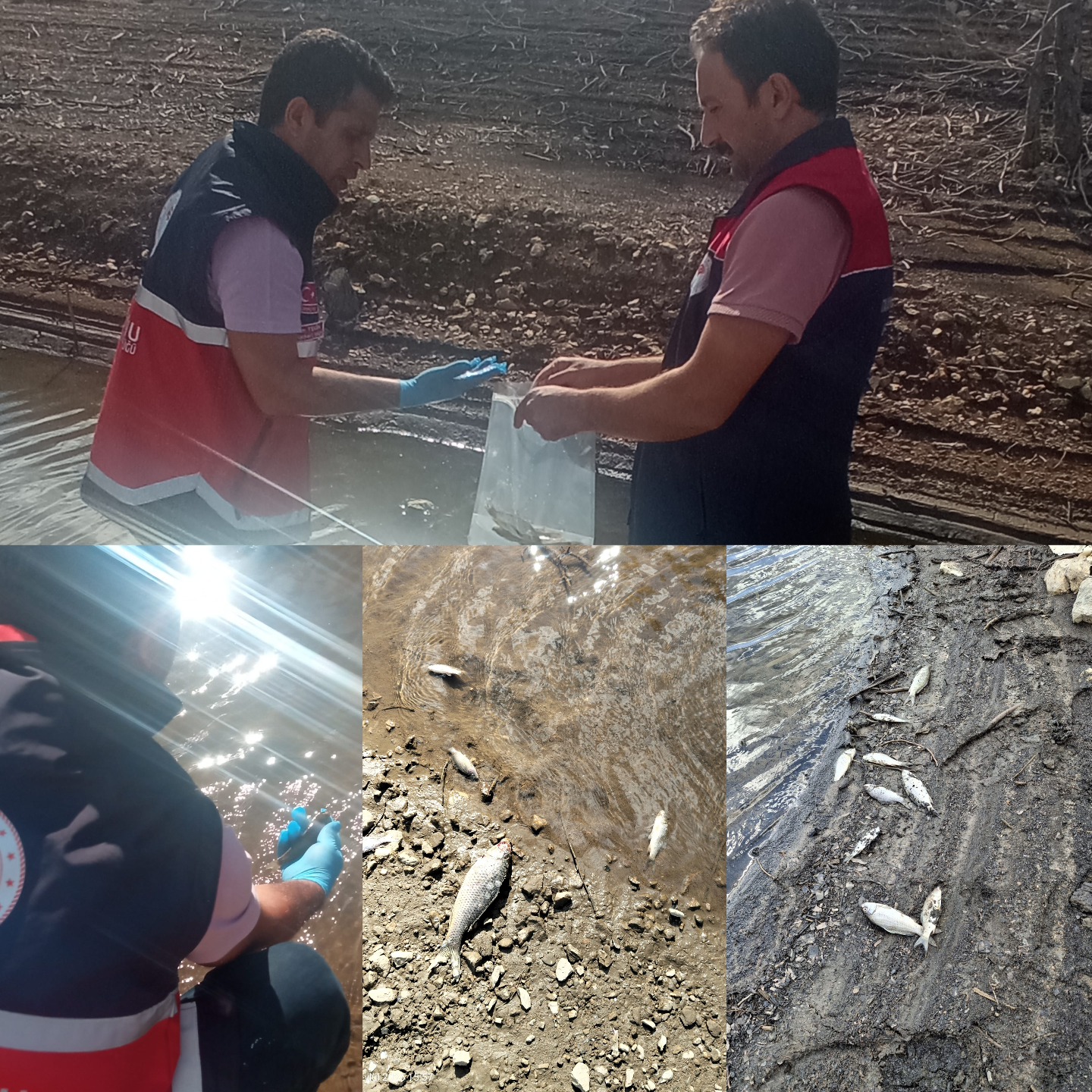 6A02Affa 4548 4Eaa A797 15Eea938A734