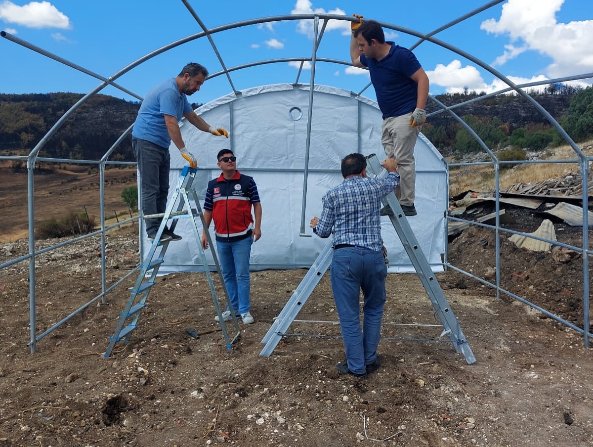 Araç’ta Yangın Mağduruna Devlet Eli Uzandı (1)