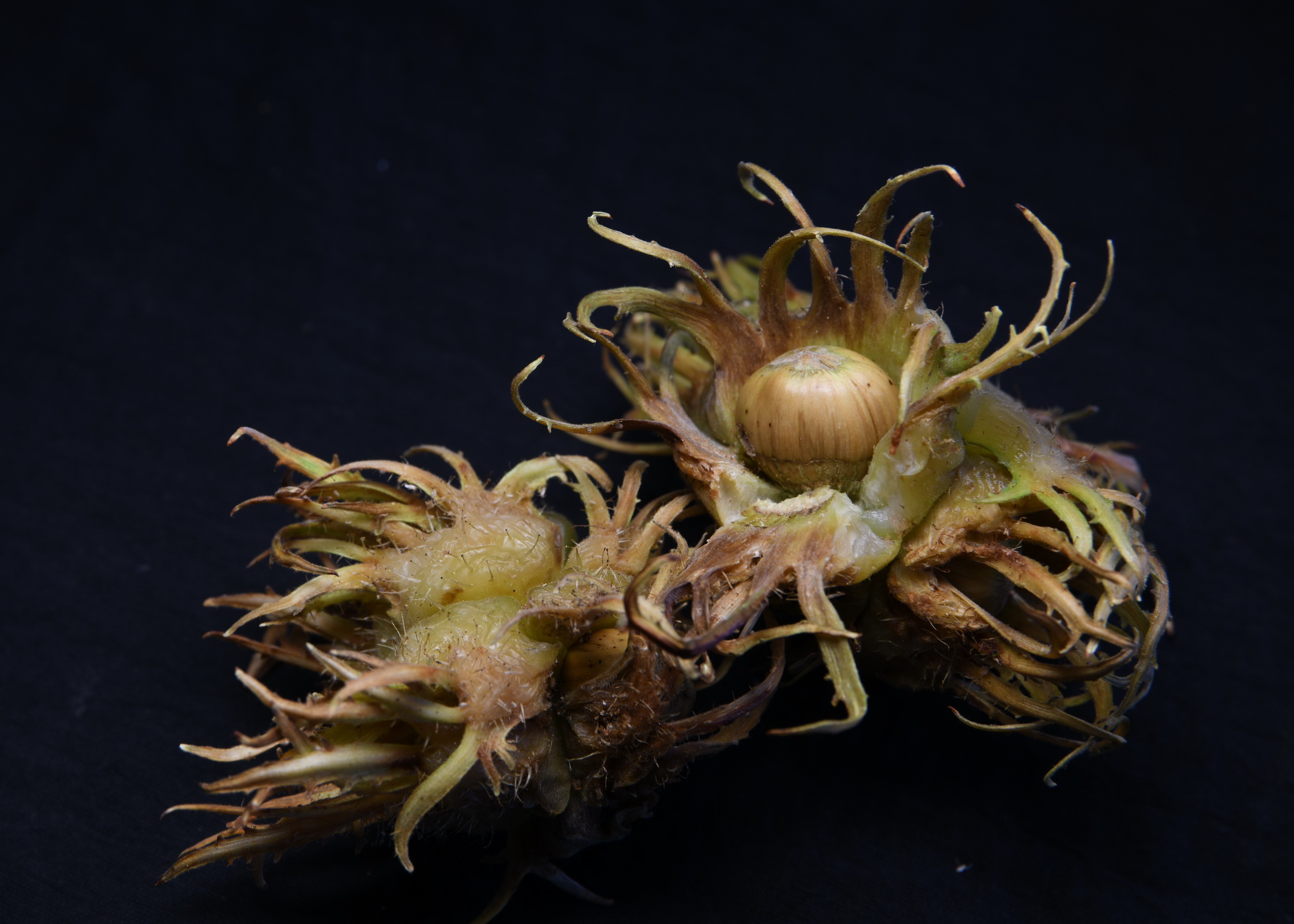 Cebrai̇l Keleş Köşe (12)-10