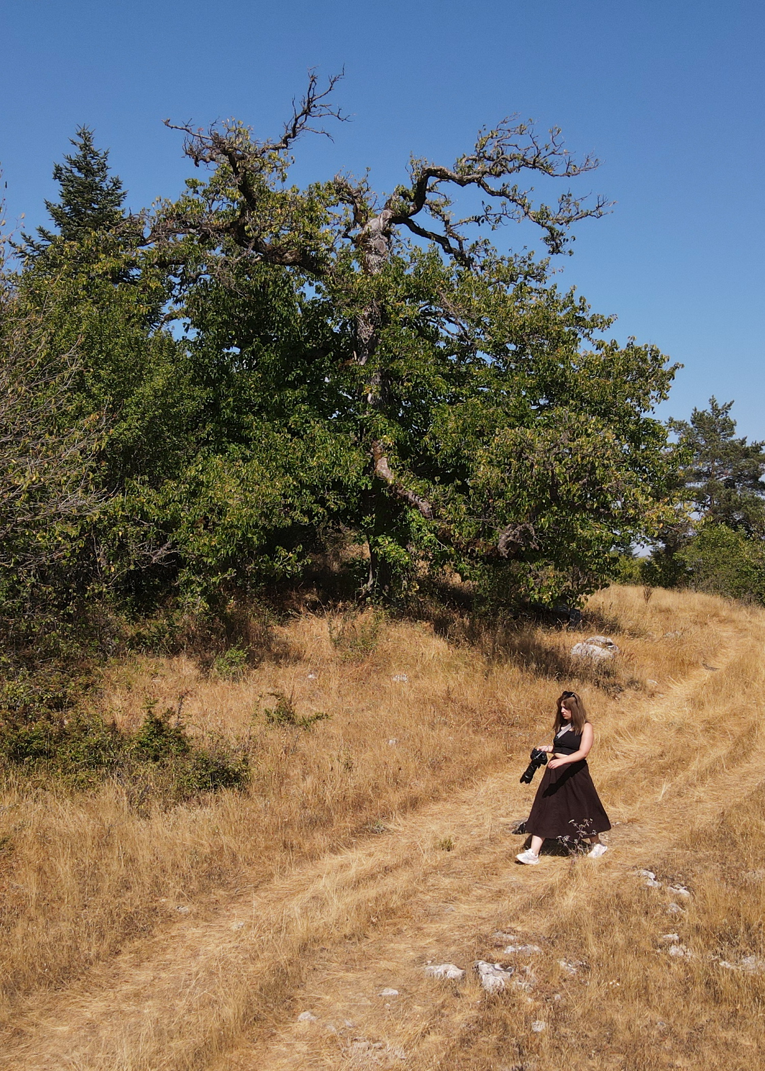 Cebrai̇l Keleş Köşe (15)-1