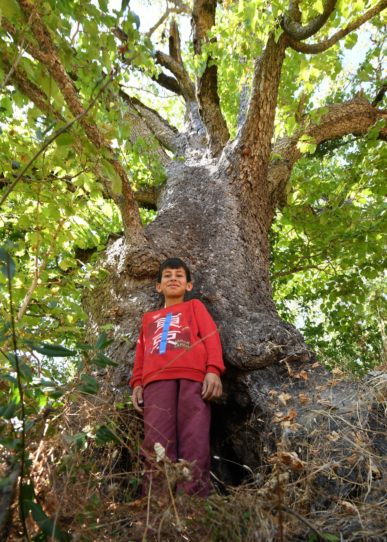 Cebrai̇l Keleş Köşe (4)-18