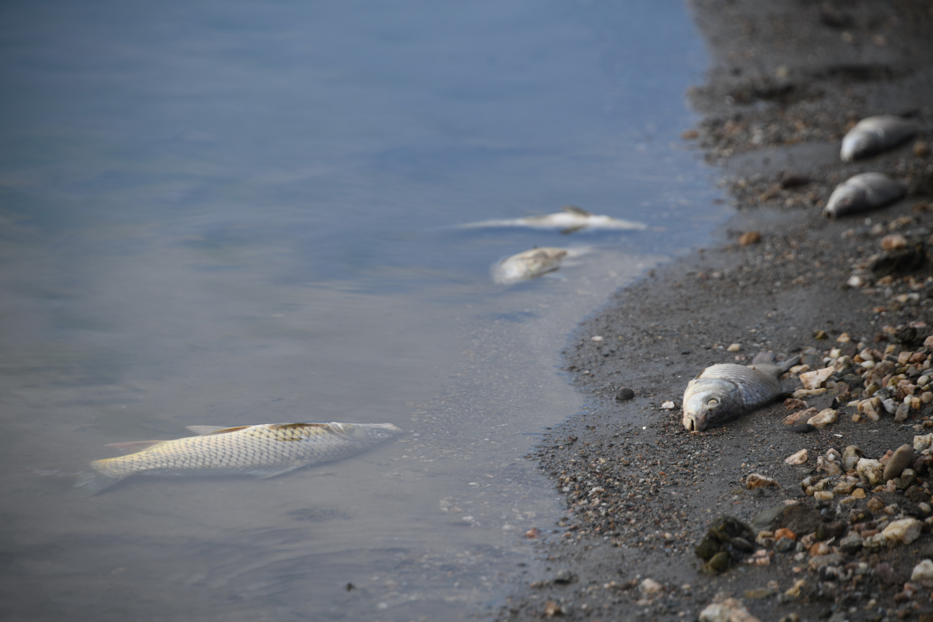 Cebrai̇l Keleş Köşe (5) (8)