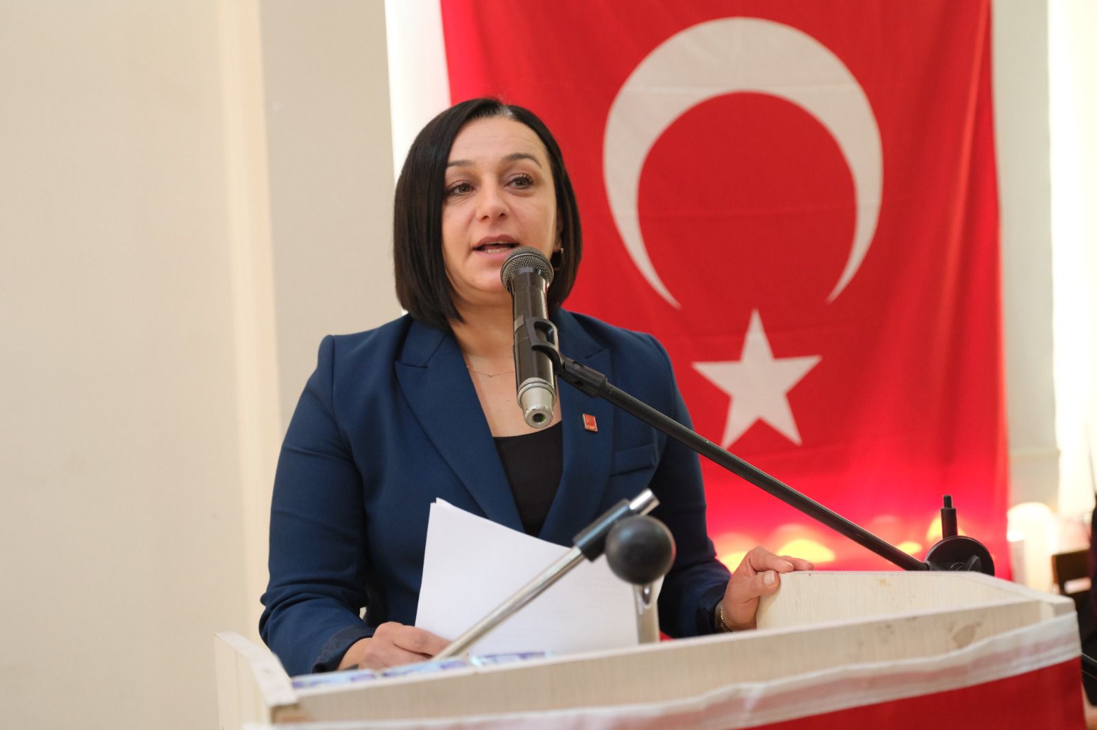 Chp Kastamonu Ilceler (2)