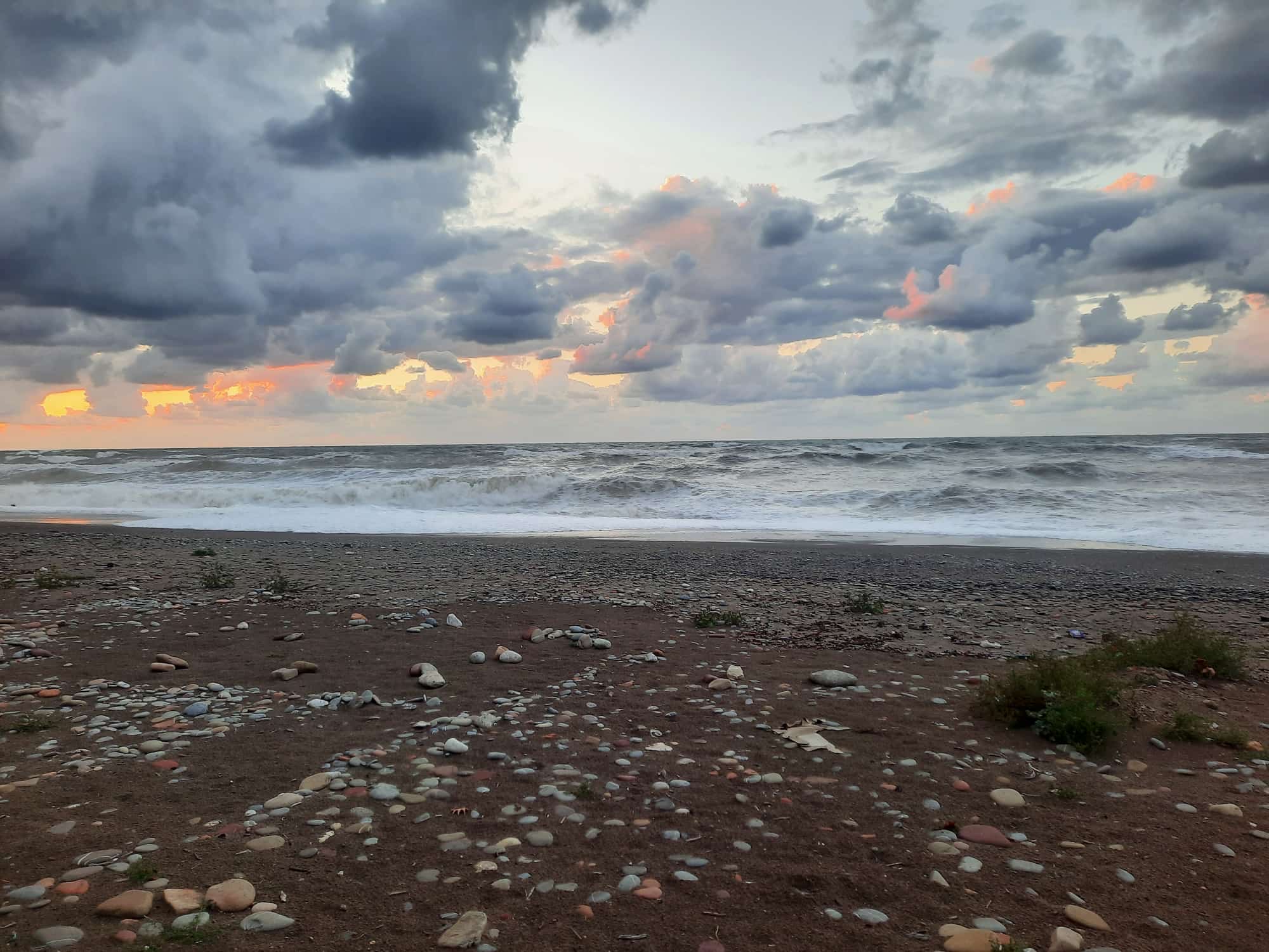 E9D0E144 5A43 4908 Ada1 09E034Bcd994