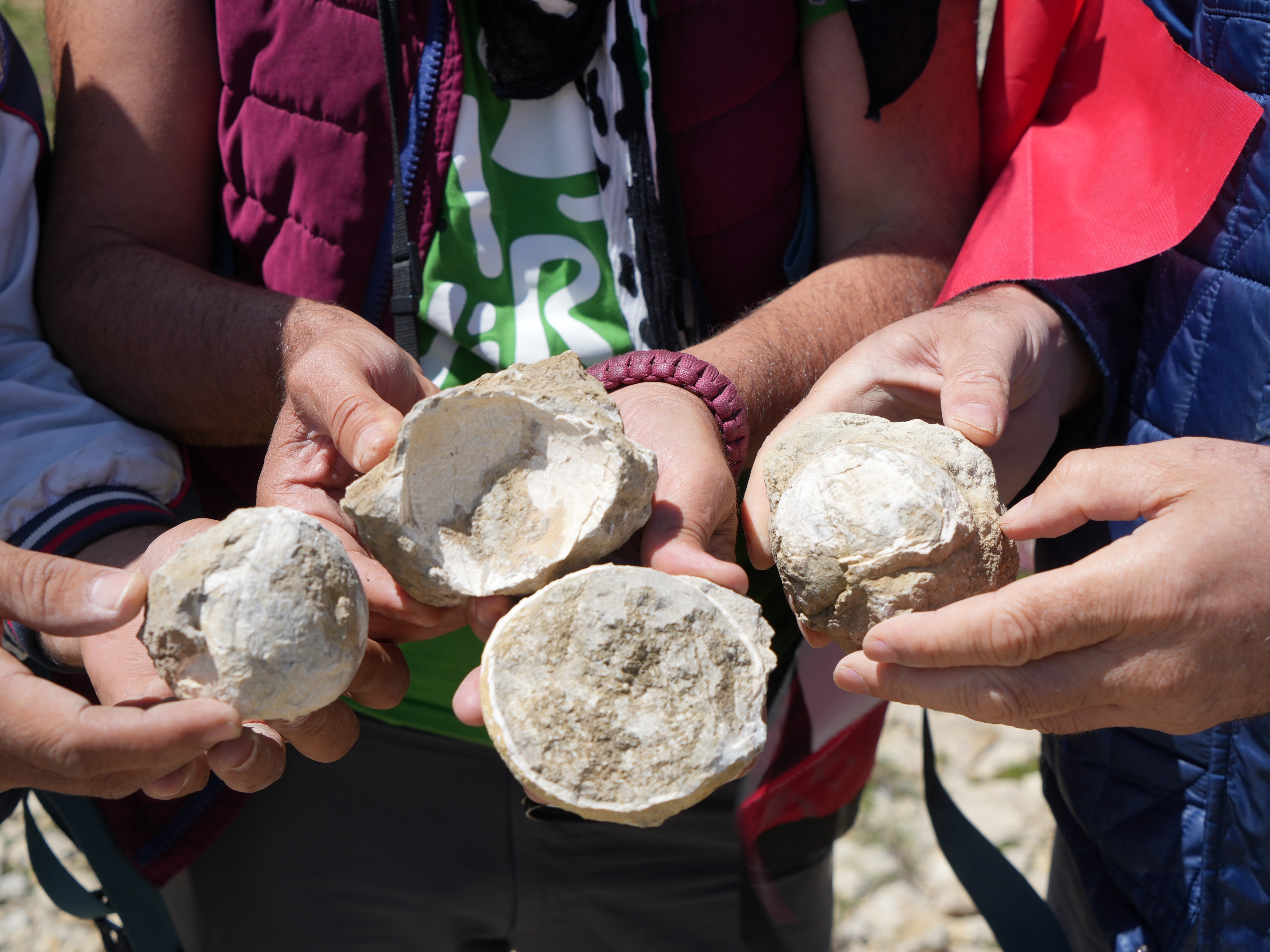 Hacet Tepesine Tırmanış Yapan Doğa Tutkunu Grup, Deniz Fosilleri Buldu (2)