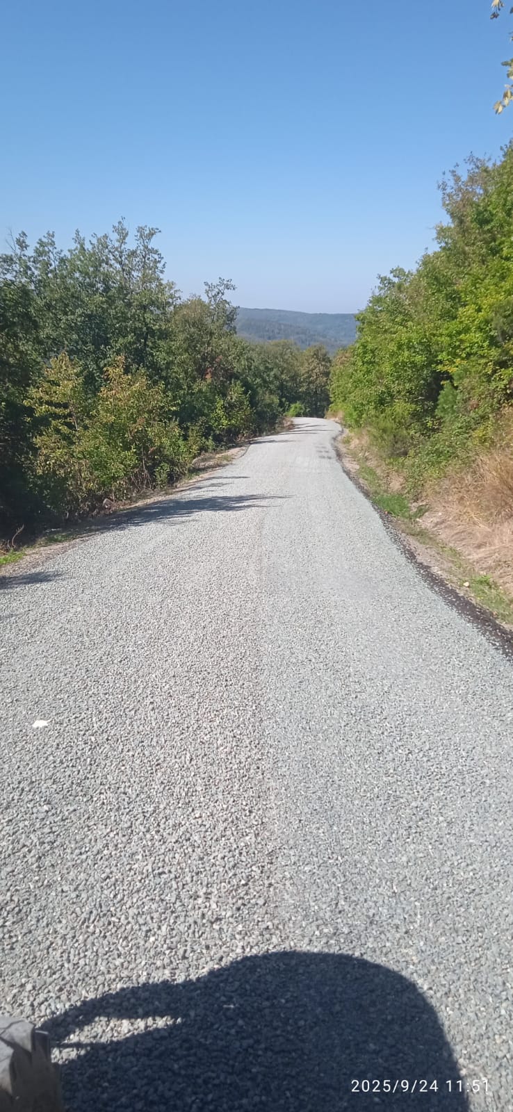 I M G 20250924 W A0053